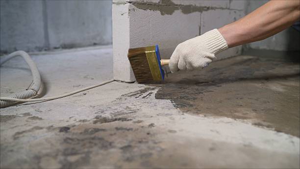 SJ Waterproofing Pros Waterproofing coverage map for Dimondale, MI and surrounding area
